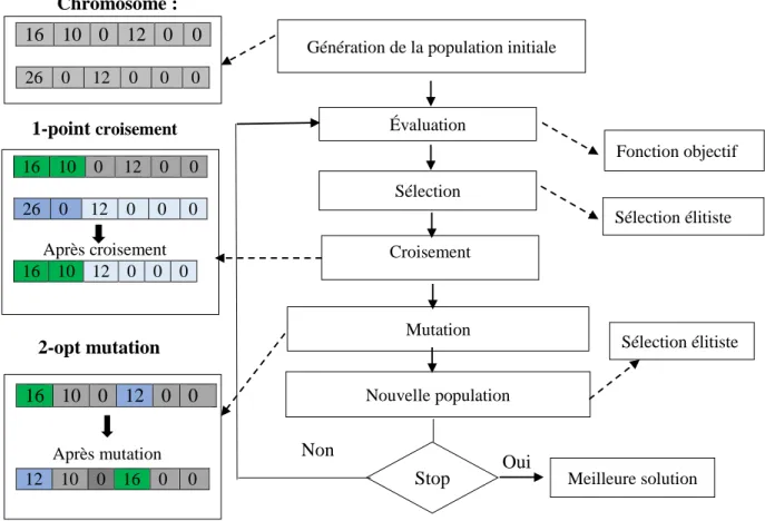 Figure 2. Organigramme d’un algorithme génétique.