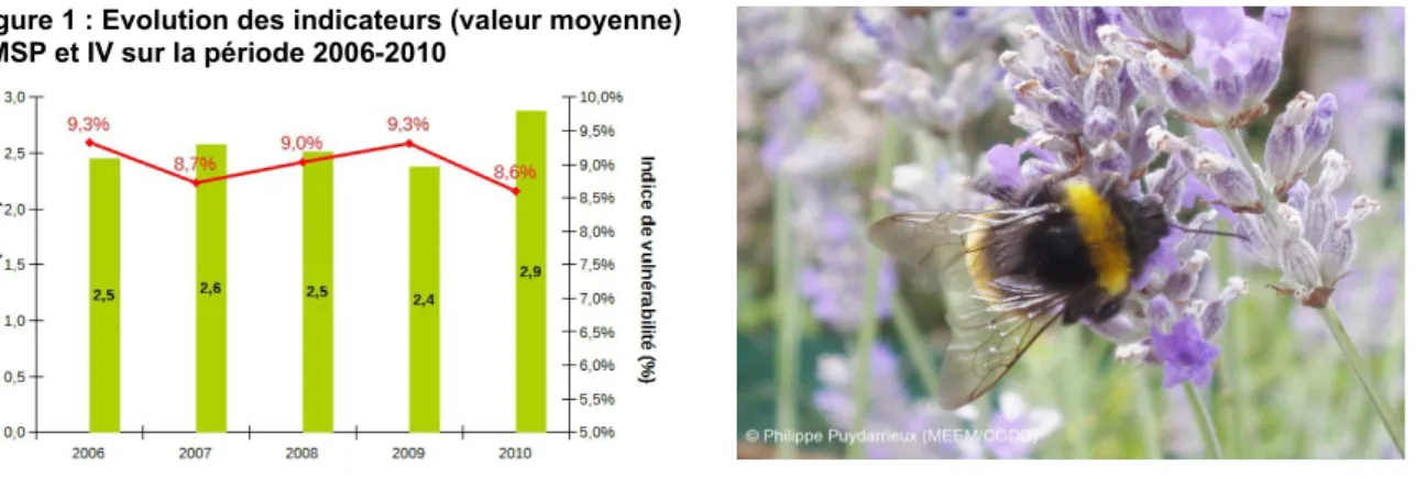 Figure 1 : Evolution des indicateurs (valeur moyenne) VMSP et IV sur la période 2006-2010