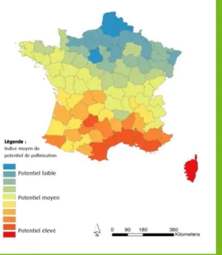 Figure 5 : Indice du potentiel de pollinisateurs (année 2010)