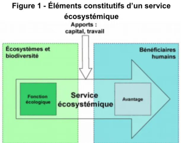 Tableau   1 -   Exemples   de   fonctions   écologiques,   de services écosystémiques et d’éléments de patrimoine naturel