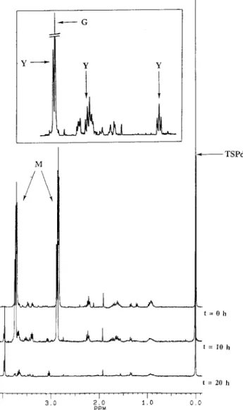 FIG. 3. Kinetics of morpholine degradation by Mycobacterium sp. strain RP1.