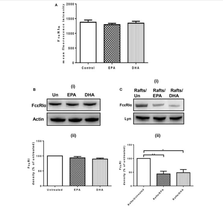 FIGURE 1 | n-3 PUFA reduce FcεRI subcellular localization to lipid rafts, but do not affect surface or cellular expression of FcεRI