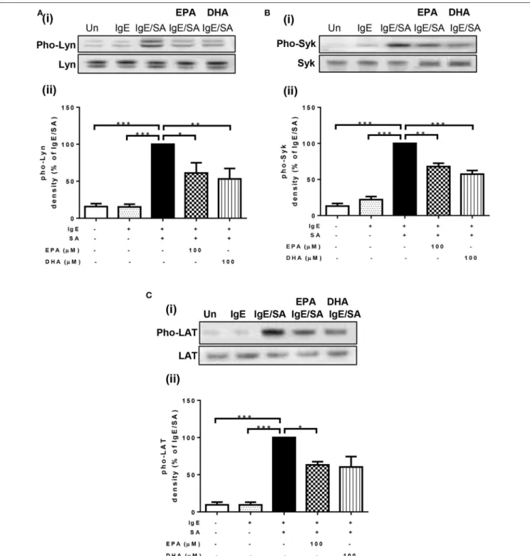 FIGURE 2 | n-3 PUFA suppress phosphorylation of Lyn, Syk, and LAT activated by IgE-crosslinking