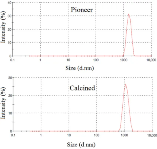 Figure S1. Particle size distribution (PSD) of Pioneer clay and Calcined clay by intensity