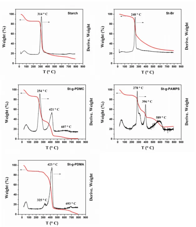 Figure S2. TGA curves of starch, starch‐Br, St‐g‐PDMC, St‐g‐PAMPS, and St‐g‐PDMA. 