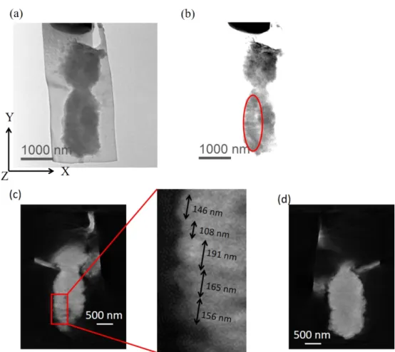 Figure 2 (a) A TEM image of a chromosome labelled with OsO4.  (b) Contrast enhanced image of (a)