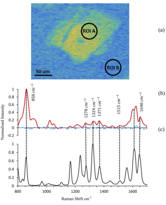 Fig. 7. (a) Normalized hyperspectral SRS microscopy image of a single acetaminophen micro-crystal