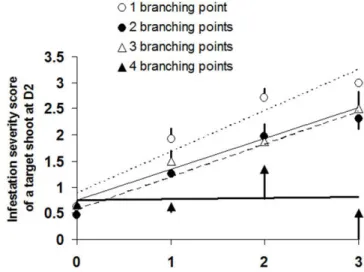 Figure 5. Relationships between Dysaphis plantaginea infestation severity of a target shoot at 
