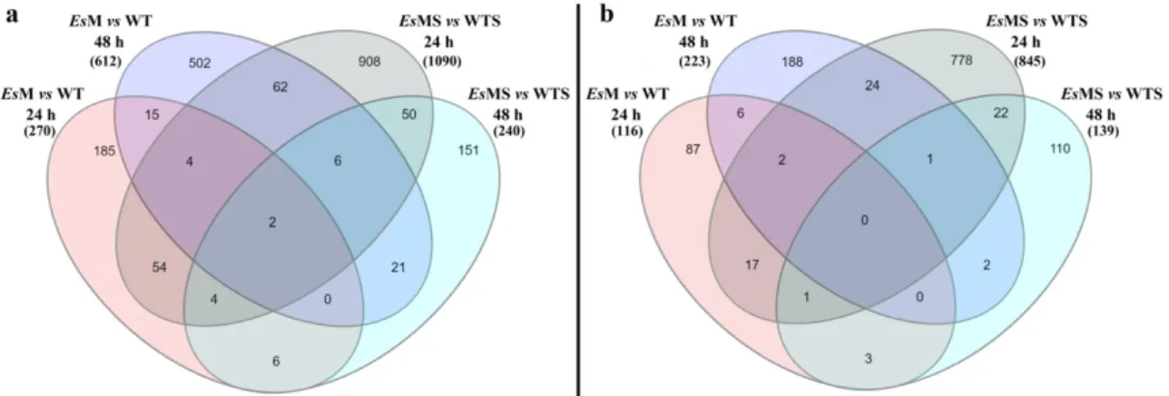 Figure 3. Venn diagram showing the differentially expressed genes (&gt;2-fold up- and down-regulated)  in the mannitol transgenic line vs