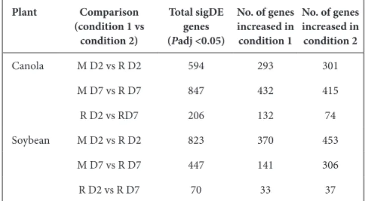 Table 1. Number of sigDE genes between medium- suspended and root-  attached RAY209 cells on canola and soybean