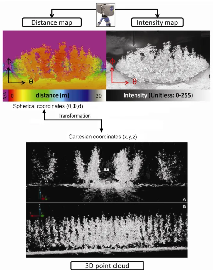 Figure 5: TLS FARO LS880 (pear tree orchard scan): hemispherical images (spherical coordi- coordi-nates) of the depth (up left) and intensity map (up right)