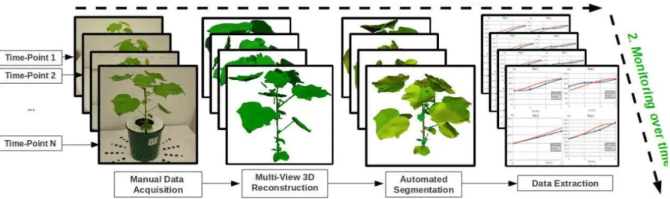 Figure 17: Segmentation pipeline of leaves from stereoscopic photography of a plant placed on a rotating platform (from [136])