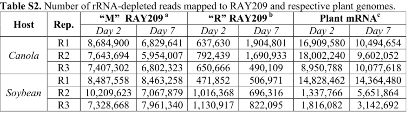 Figure S5. Validation of method for releasing root-attached RAY209 cells from canola roots