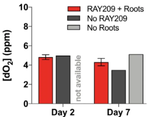 Figure S8. Average dissolved oxygen concentration around canola roots. Dissolved oxygen  (dO 2 ) at the roots remained consistent (p two tail  = 0.12) throughout the week-long growth period,  averaging 4.8 ppm at day 2 and 4.3 ppm by day 7 (n = 3 replicate