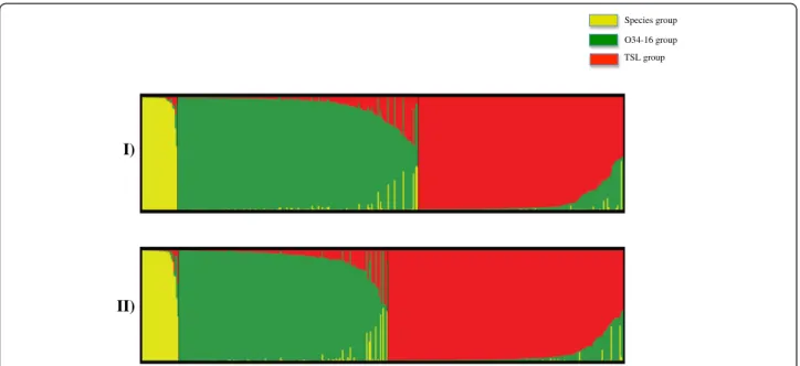 Figure 6 Graphical presentation of the results obtained from STRUCTURE using K = 3. Each individual is shown as a vertical line