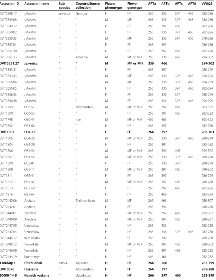 Table 4 Determination of flower phenotype with a combination of two markers (APT3 and VVIb23) for the V