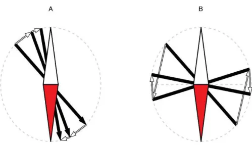 Figure 1.3 – Examples of movements induced by a magnetic field. The field orientation vector is represented by a compass directed from the south (in white) to the north pole (in red)