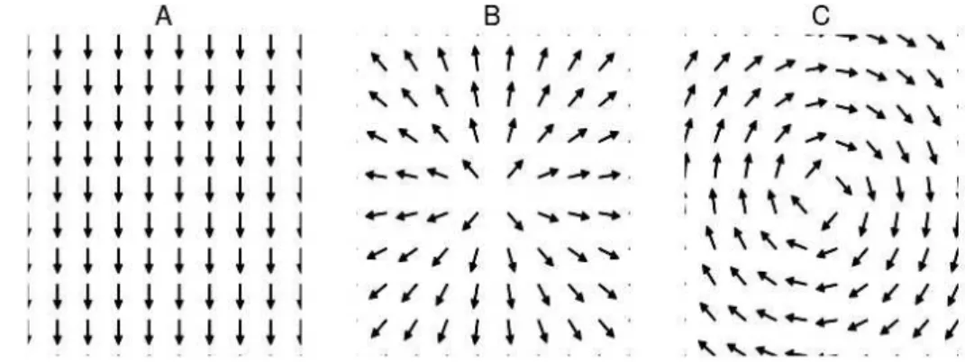 Figure 1.4 – Examples of magnetic fields. (A) The south parallel field. (B) The polar field
