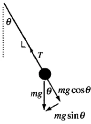 Figure  4-1:  Free  body  force  diagram  for  the  simple  pendulum