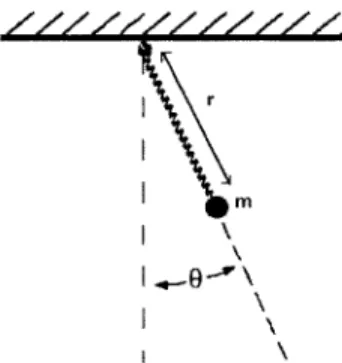 Figure  4-4:  The  elastic  pendulum