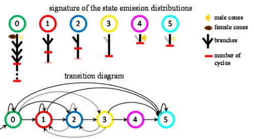 Figure 9: 6-state HMT model: transition diagram and symbolic representation of the state sig- sig-natures (conditional mean values of the variables given the states, depicted by typical shoots).