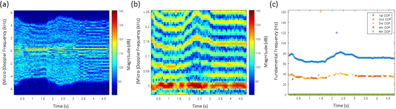 Figure 9. (a) HERM lines spectrogram for one-propeller helicopter measured by W-band radar;