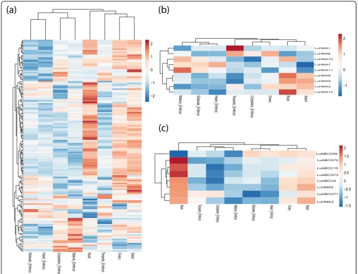 Fig. 4 Expression profiling of the 160 differentially expressed genes in eight different tissues based on log fold-changes, including 143 LuABC genes (a), nine LuHMA genes (b), and eight potential Cd candidate genes (c)