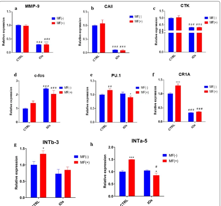 Fig. 14  IOs and MF inhibit osteoclasts activity and affect integrins expression. Expression of master regulators of osteoclasts metabolism was  investigated with qRT‑PCR including: MMP‑9 (a), CAII (b), CTK (c), c‑fos (d), PU.1 (e)