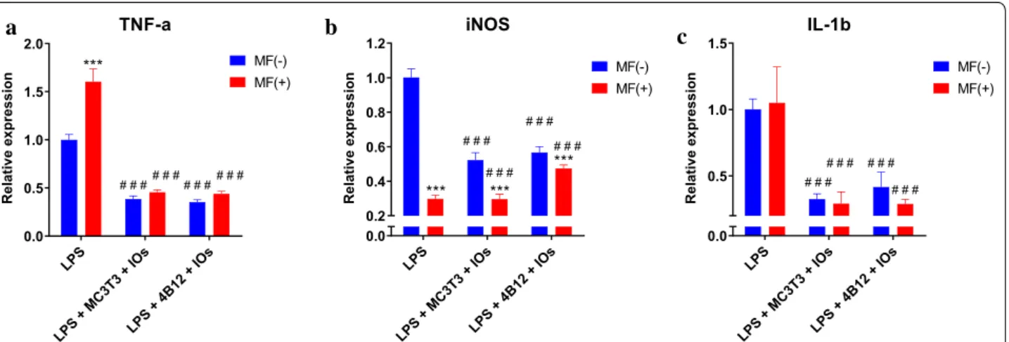 Fig. 8  IOs and MF reduce inflammation in co‑culture of macrophages with both osteoclasts and osteoblasts