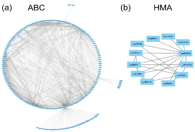 Figure S2. Interaction network of ABC transporter genes (a) and HMA genes (b). 