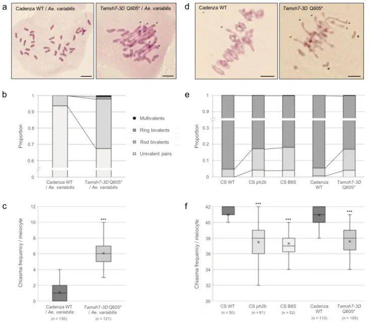Fig. 3 Loss-of-function TaMSH7-3D mutations promote homoeologous recombination and reduce homologous recombination