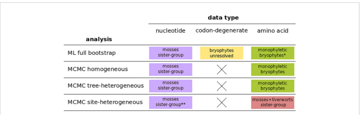 FIGURE 4 | A summary of bryophyte relationships obtained from nucleotide, codon-degenerate, and amino acid translation data using Maximum-likelihood bootstrap analyses (ML) and Bayesian (MCMC) homogeneous, tree-heterogeneous, and site-heterogeneous analyse