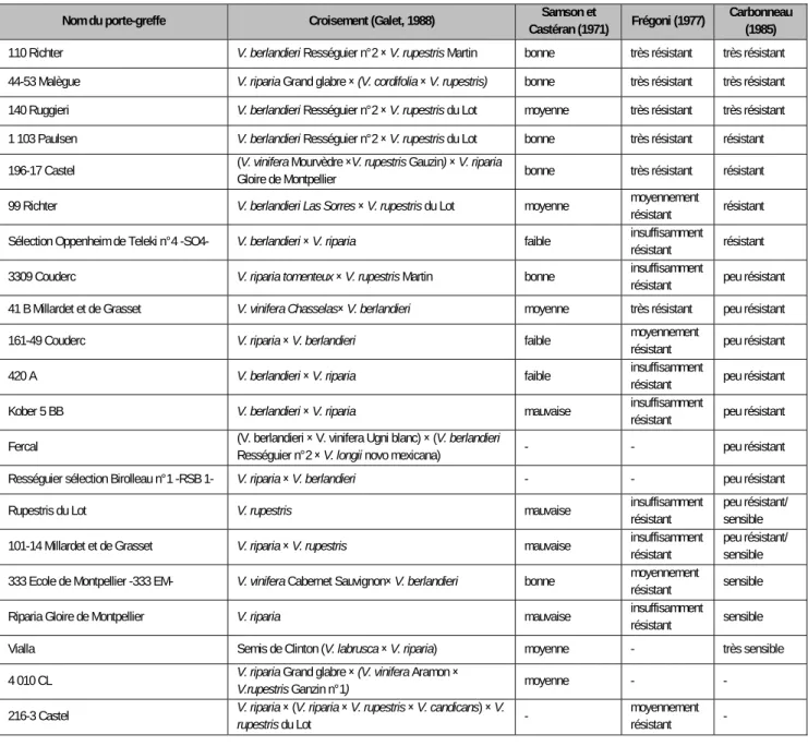 Tableau 1 : Synthèse des classifications des porte-greffes de vigne vis-à-vis de leur adaptation à la sécheresse