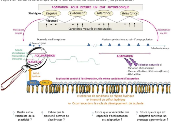 Figure 1 : Contexte scientifique et synthèse de la sémantique utilisée (Marguerit, 2010) 