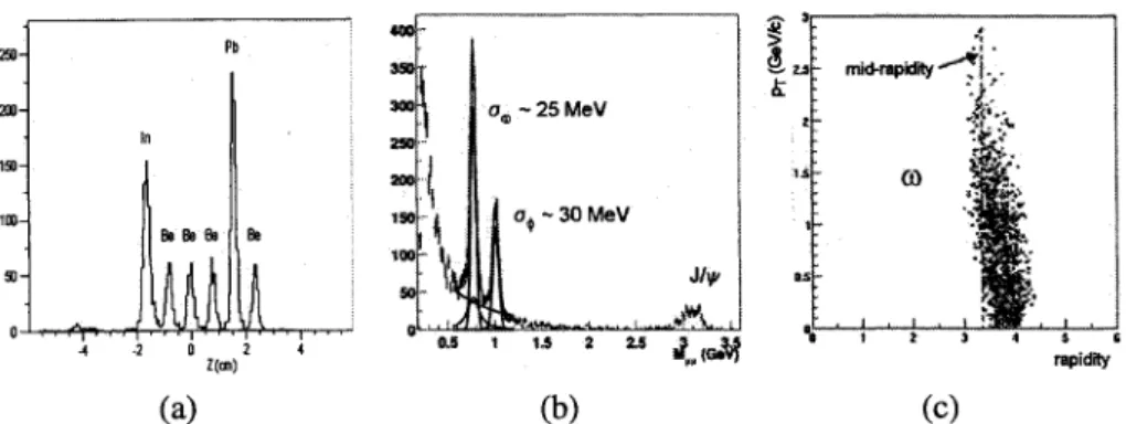 FIGURE 3. (a) Z-vertex reconstruction capabilities, (b) dimuon mass resolution, and (c) phase space coverage with the microstrip detector telescope in proton-nucleus collisions.