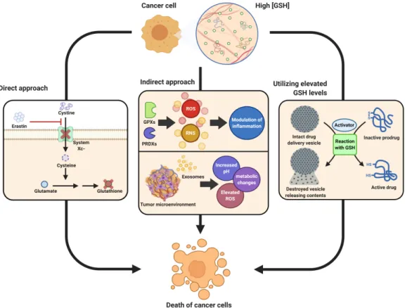Figure 1. Different approaches for cancer therapy related to glutathione functions. High levels of  glutathione (GSH) observed in the majority of tumors combined with its role in tumorigenesis,  inflammation response and tumor microenvironment properties a