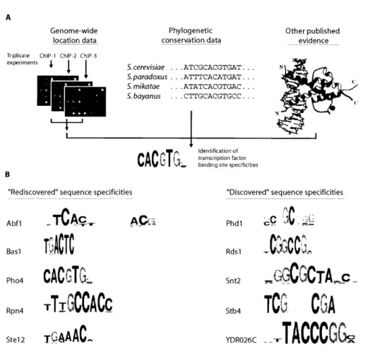 Figure  1 A Phylogenetic conservation  data Other published evidence