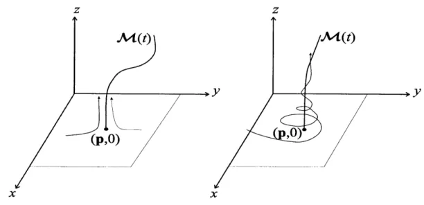 Figure  2-1:  Unsteady  separation  profiles  emanating  from  separation  points time-dependent  material  line  that  guides  particles  away  from  the wall.