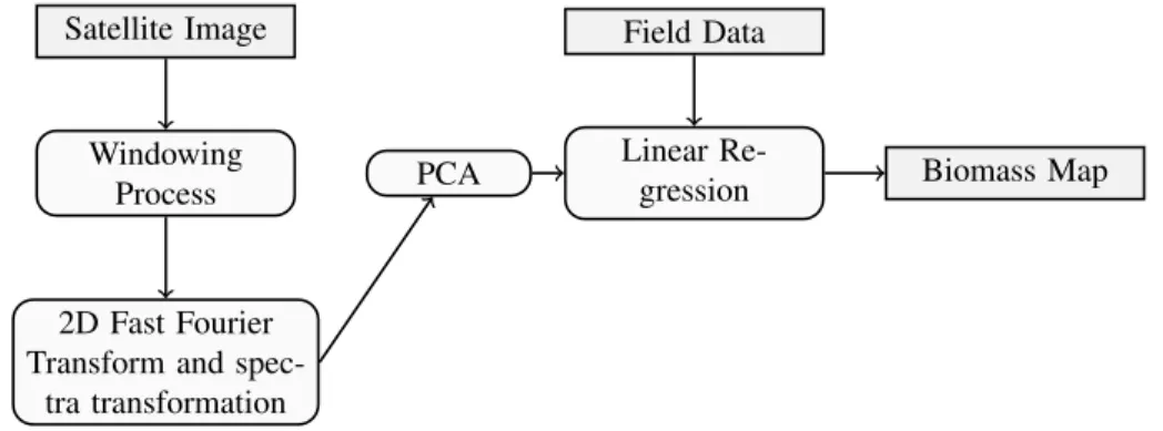 Figure 1. The FOTO Method
