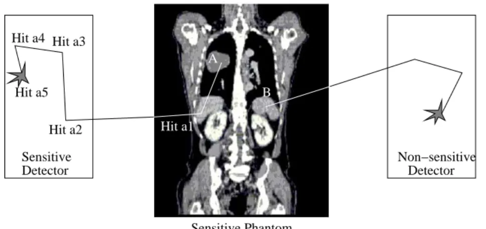 Figure 3. Particle interactions in a crystalSD attached to a scintillator block and a phantomSD attached to a volume filled with tissue material