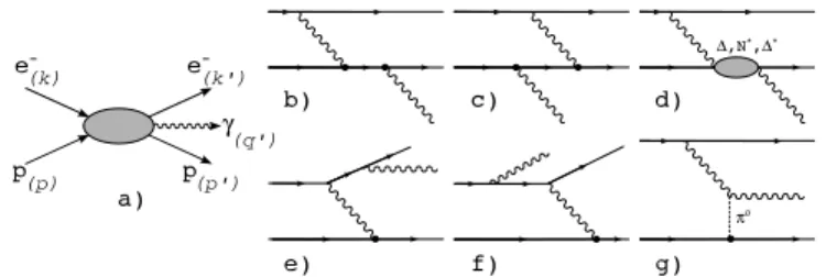 FIG. 1: Kinematics for photon electroproduction on the pro- pro-ton (a) and lowest order amplitudes for VCS Born (b, c), VCS Non-Born (d), Bethe-Heitler (e, f) and t-channel π 0 -exchange (g) [4] processes