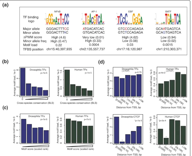 Figure 3 Motif mutational load of Drosophila and human TFBSs located within different genomic contexts