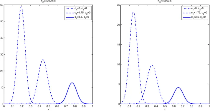 Figure 6.4: (Cytotoxic drugs only) Trends of n C (x, t) (left) and n H (x, t) (right) at t = 2000 for c 1 = 0 (dashed-dotted lines), c 1 = 1.75 (dashed lines) and c 1 = 3.5 (solid lines)