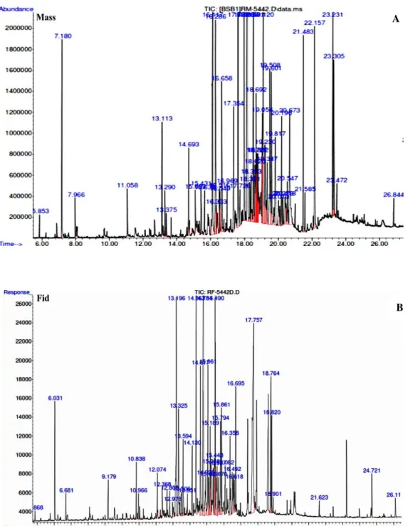 Figure 3. Essential oil chromatogram for Bejaia Inula viscosa. A. Mass Spectrophotometer, B