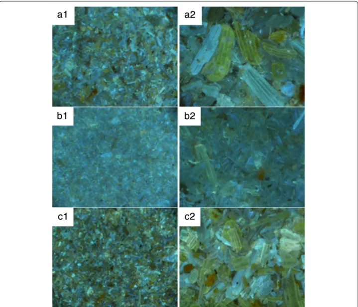 Table 1 and Figure 3 show that at each fractionation or refinery step (Figure 1c) the positively charged  parti-cles contained more cellulose and phenolic acids (p-CA and diFA) than the negatively charged particles and the starting material F0