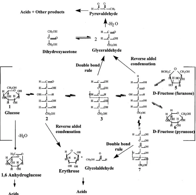 Figure 7: Proposed mechanism of glucose decomposition in sub and super-critical water by [14].