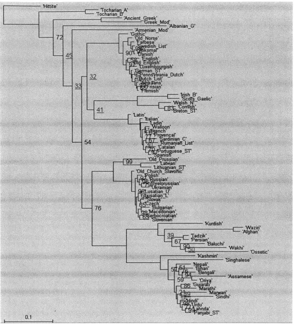 Figure 2.1:  Consensus  tree  obtained  with pre-pruning,  5 million iterations