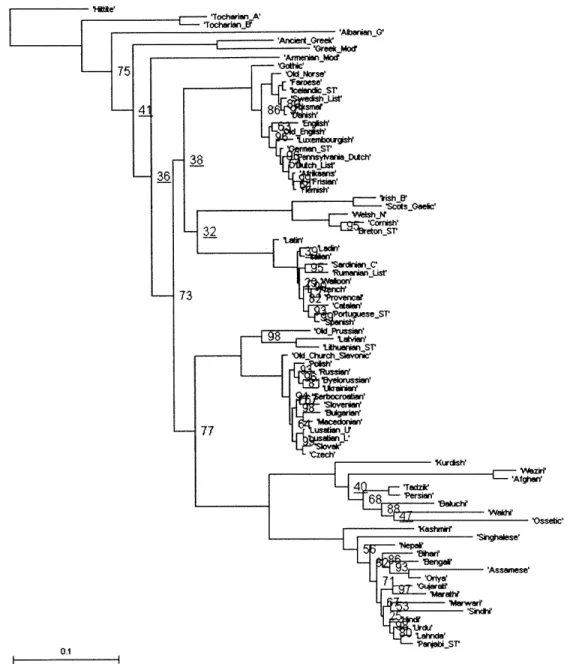 Figure 2.3:  Consensus  tree obtained with  post-pruning,  100 million iterations