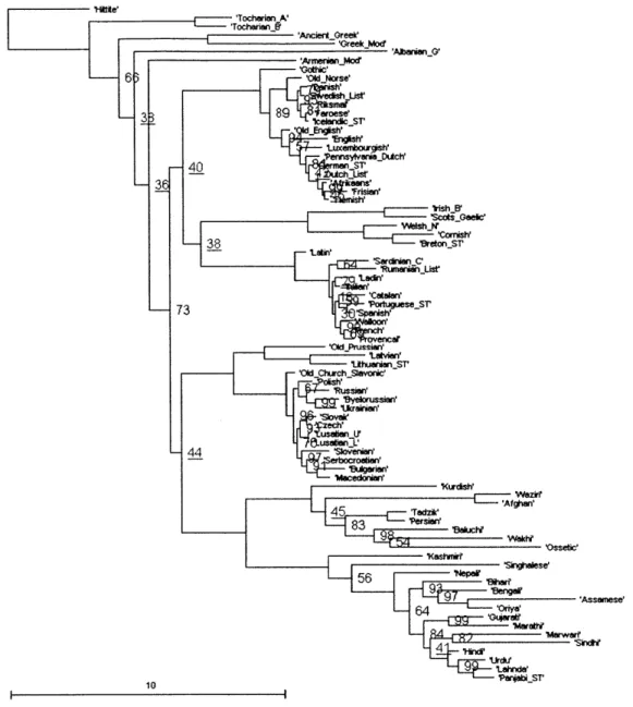 Figure  2.4:  Consensus  tree of the trees provided by  Dunn