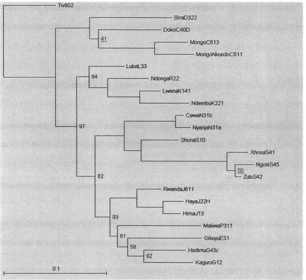 Figure 2.5:  Consensus  tree  obtained with  pre-pruning, 5  million iterations
